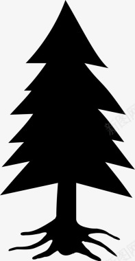 松树植物云杉图标图标