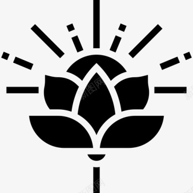 莲花印度13铭文图标图标