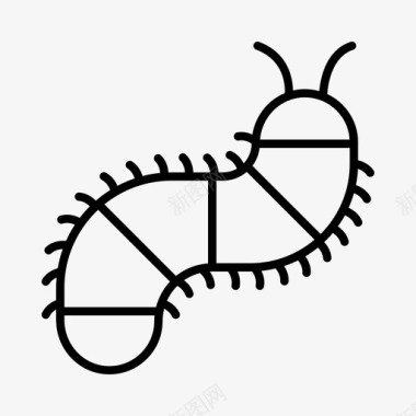 毛毛虫虫子蜈蚣图标图标