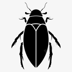 食水巨型食水甲虫臭虫昆虫图标高清图片