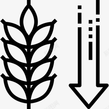 小麦生酮饮食直系图标图标
