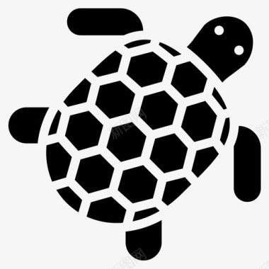 海龟热带25填充图标图标