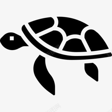 海龟夏威夷11雕文图标图标