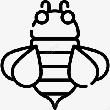 蜜蜂自然70直系图标图标