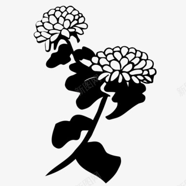 菊花花四种优雅的植物图标图标
