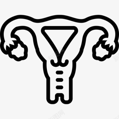 子宫妇科医生器官图标图标