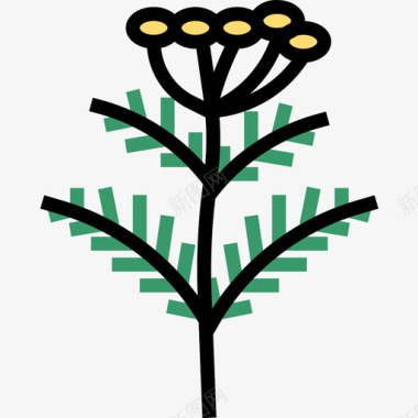 草本植物草本植物2线状颜色图标图标