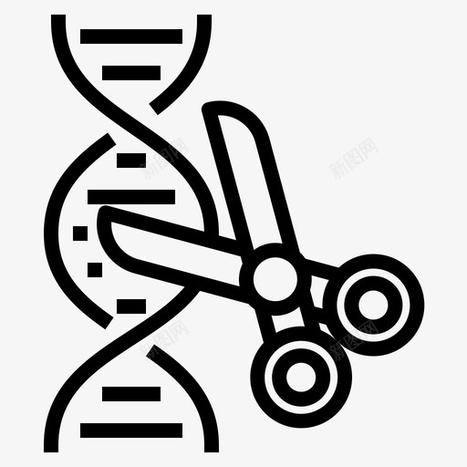 Dna化学39线性图标svg_新图网 https://ixintu.com Dna 化学 线性