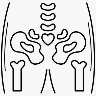 骨盆解剖学骨骼图标图标