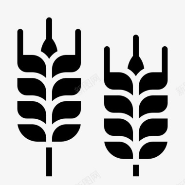 小麦大麦树枝图标图标