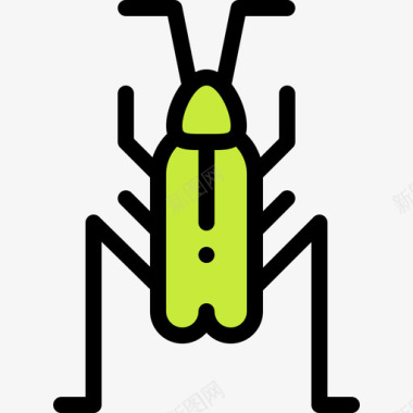 蟋蟀昆虫12线形颜色图标图标