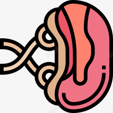 脾人体器官6线色图标图标