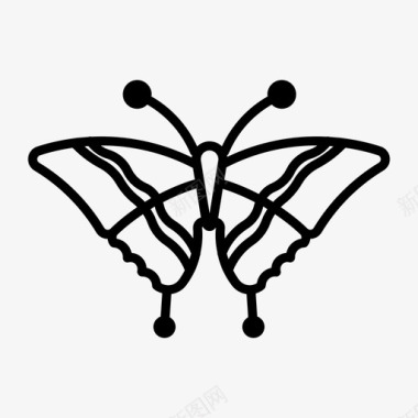 燕尾蝴蝶帝王图标图标