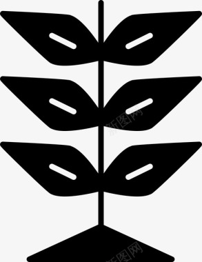 生长叶子自然图标图标