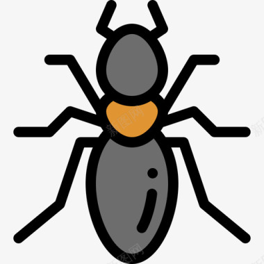 昆虫昆虫12线状颜色图标图标