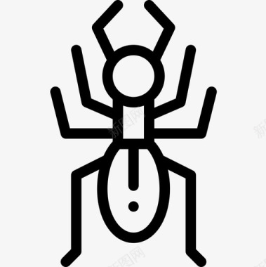 蚂蚁昆虫11直系图标图标