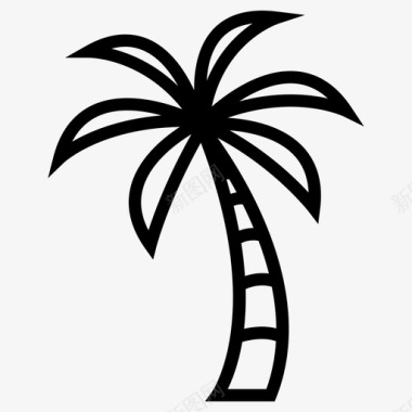 棕榈树自然植物图标图标