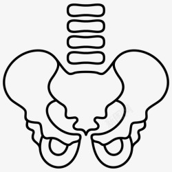 人体生理学人体骨盆解剖学脊柱图标高清图片