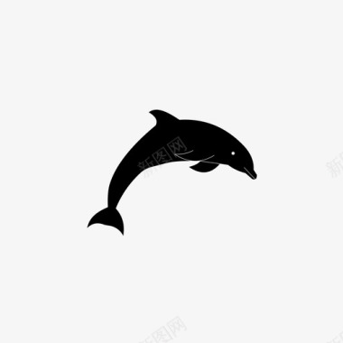 海豚海洋生物图标图标