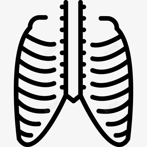 胸部胸腔骨骼图标svg_新图网 https://ixintu.com 胸腔 胸部 胸骨 脊椎 骨骼