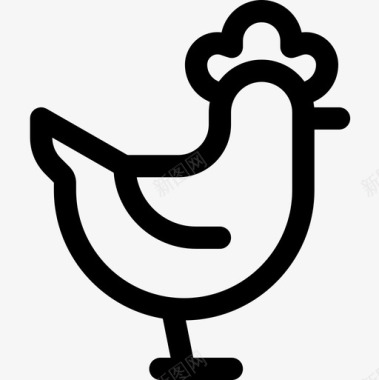 鸡肉养殖44直系图标图标