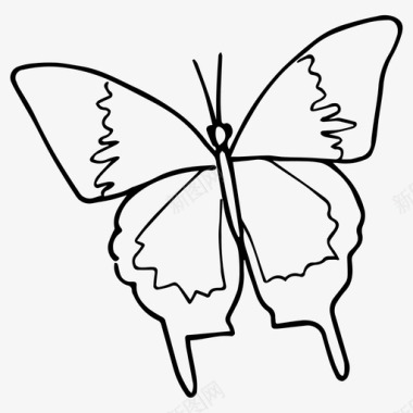 蝴蝶自然素描图标图标