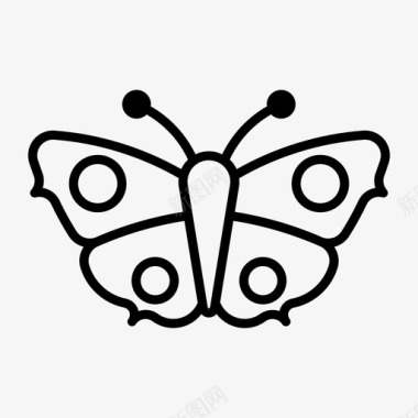 孔雀蝶动物蝴蝶纹身图标图标