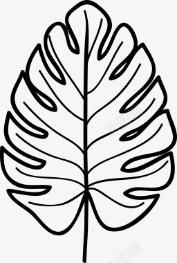 monsteradeliciosa单叶植物植物学花园图标图标