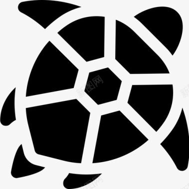海龟澳大利亚13填充图标图标