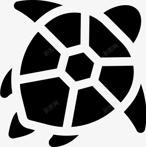 海龟澳大利亚13填充图标svg_新图网 https://ixintu.com 填充 海龟 澳大利亚