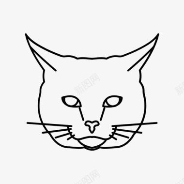 猫动物猫脸图标图标
