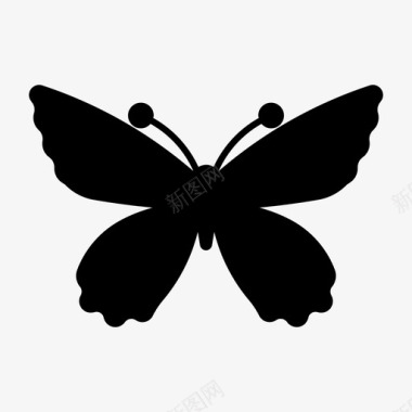 女王亚历山德拉伯德温蝴蝶飞行图标图标