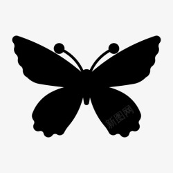 伯德女王亚历山德拉伯德温蝴蝶飞行图标高清图片