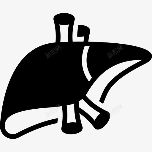 肝脏生物健康图标svg_新图网 https://ixintu.com 保护 健康 手术 生物 肝脏