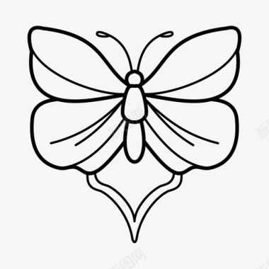 蝴蝶飞蛾纹身图标图标