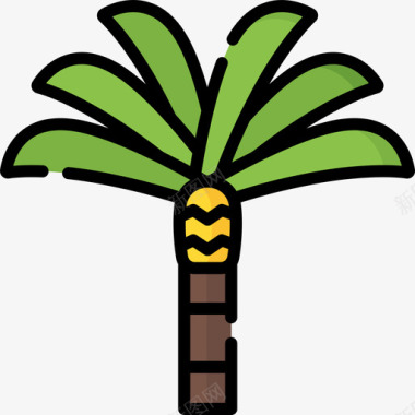 棕榈树埃及23线形颜色图标图标