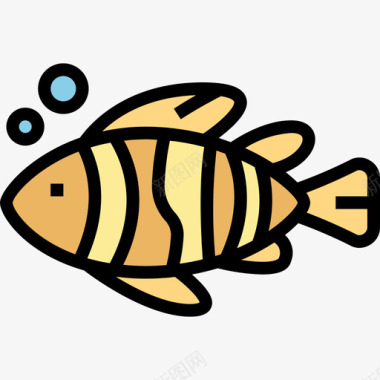 鱼夏季60线形颜色图标图标