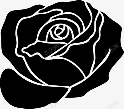 玫瑰盛开的花图标图标