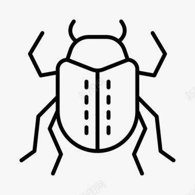 甲虫动物野生动物图标图标