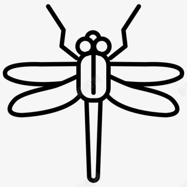 蜻蜓虫子昆虫图标图标