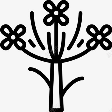 欧芹植物学直系图标图标