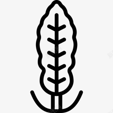 胡椒粉植物性直线性图标图标