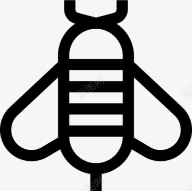 蜜蜂52号春直系图标图标