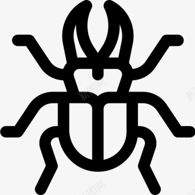 甲虫野生动物24直系图标图标