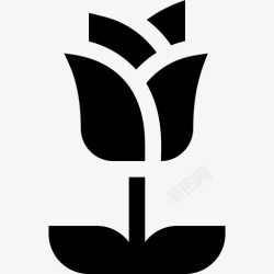 玫瑰花填充玫瑰花和植物2填充图标高清图片