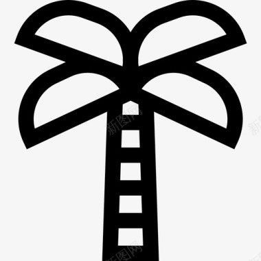 棕榈树埃及15线形图标图标