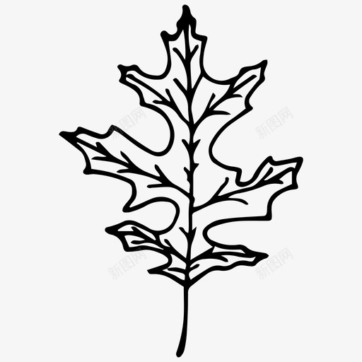 树叶手绘自然图标svg_新图网 https://ixintu.com 手绘 树叶 树木 自然