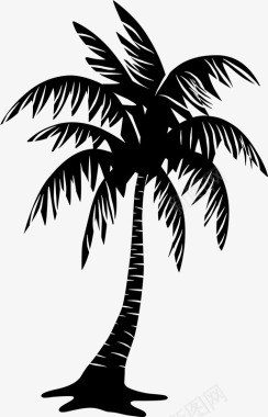 棕榈海滩椰子图标图标