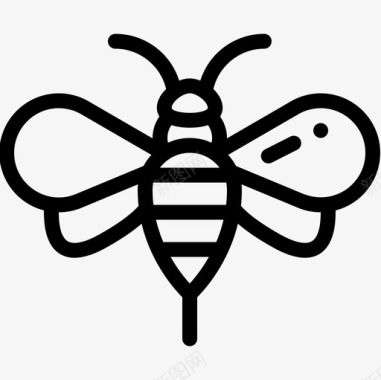 蜜蜂74号春直线型图标图标