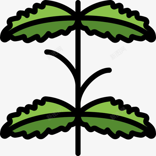 薄荷植物5线性颜色图标svg_新图网 https://ixintu.com 植物5 线性颜色 薄荷